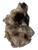 Smoky Quartz Cluster - No.12