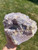 Raw Lepidolite Specimen - No.33 