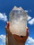 Twin Lemurian Quartz Point - No.14 