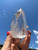 Standing Lemurian Quartz Point - Cut Base - No.3 