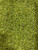 Bulk Peridot Crystal Chips (1 lb. Bag)  Size 3mm - 5mm 