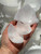 Bulk Broken Selenite Crystals (1lbs) 