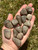 Petoskey Stone Tumbled Stone - Grade AA from Michigan, USA 
