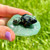 Kambaba Jasper Frog on Green Aventurine Lily Pad 