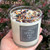 Hand holding the 12 oz Spiced Fig candle from the November Gift Box by New Moon Beginnings