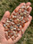 Bulk Sunstone Polished Chips (7mm - 9mm) - Grade A 