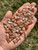 Bulk Sunstone Polished Chips (7mm - 9mm) - Grade A 