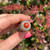 Close-up of a red jasper crystal from the Dragon's Blood Oil roller held in hand