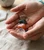 Two cupped hands holding the four tumbled stones of the Autumn Crystal Set