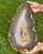 Hand holding the polished gray banded agate slab outdoors in natural sunlight above green grass