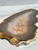 Gray banded agate slab shown horizontally on white marble, with its raw natural rind along the base