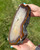 Red Brown Agate Slab with White Quartz Center - Front Polished - No.88 