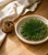 Rose of Jericho 