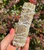 Yerba Santa, Lavender & Blue Sage cleansing bundle held upright in a hand in front of autumn foliage