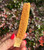 Pumpkin Spice dipped Palo Santo stick held upright in a hand in front of dark red autumn foliage