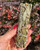 Lavender cleansing bundle from the trio held in a hand in front of autumn foliage