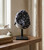 Black Amethyst cluster on stand displayed on a rustic wooden table by a window with books and a small vase