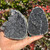 Pair of Black Amethyst geode halves held in hand outdoors, showing dark sparkling drusy quartz interiors