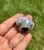 Close-up of a Labradorite sleeping cat showing its blue and purple flash in the sunlight