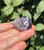 Side view of an Amethyst sleeping cat held in hand, with soft lavender ears and deep purple stripes