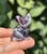 Side view of an Amethyst sitting cat showing deep purple and white bands across its body