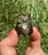 Gold Sheen Obsidian owl catching the sunlight, with a bright golden sheen across its body