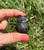 Silver Sheen Obsidian owl carving held between fingertips outdoors, with shimmering carved wings