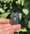 Close-up of a Silver Sheen Obsidian owl showing its carved eyes, beak and feather details