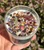 Hand holding Be Merry candle from above showing colorful crystal chips, rose petals and cinnamon chips on white wax