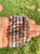 Botswana Agate Elastic Bracelet - 8mm Beads