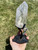 Raw Lemurian Quartz Crystal Point on Metal Stand - 1