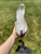 Raw Lemurian Quartz Crystal Point on Metal Stand - 4