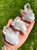 Raw Clear Quartz Crystal Cluster - Extra Quality