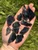 Raw black obsidian slivers and thin pointed shards in a palm on green grass, showing the narrow 1 inch sliver size option