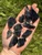 Raw Black Obsidian Stone 
