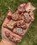 Raw Copper Nugget (Michigan, USA)