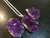 Amethyst Raw Pendant in Plated Setting