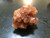 Raw Aragonite Star Cluster