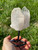 Raw Clear Quartz Crystal Cluster on Metal Stand