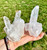 Raw Clear Quartz Standing Crystal Point