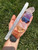 7 chakra Stone Set with Selenite Wand (Raw) 