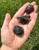 Root Chakra Stone Set (Raw) 