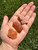 Sacral Chakra Stone Set (Raw)
