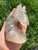 Tourmalinated Quartz Horse - Polished Crystal Sculpture - 3