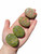 Unakite Palm Stone - Polished Stone Oval