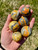 Bumble Bee Jasper Sphere - Polished Stone