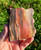 Petrified Wood Slab - Front Polished Stone