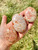 Sunstone Palm Stone - Polished Stone Oval