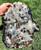 Agate Slab - Geode - Front Polished Stone - 134