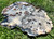 Agate Slab - Geode - Front Polished Stone - 134